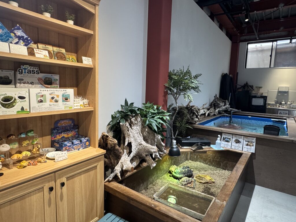 佐倉アクアリウムの施工画像3